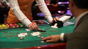 bet96955 bet96955